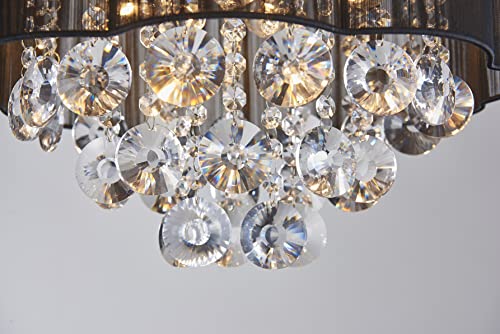 AGV LIGHTING 20102 Crystal Ceiling Light Fixture