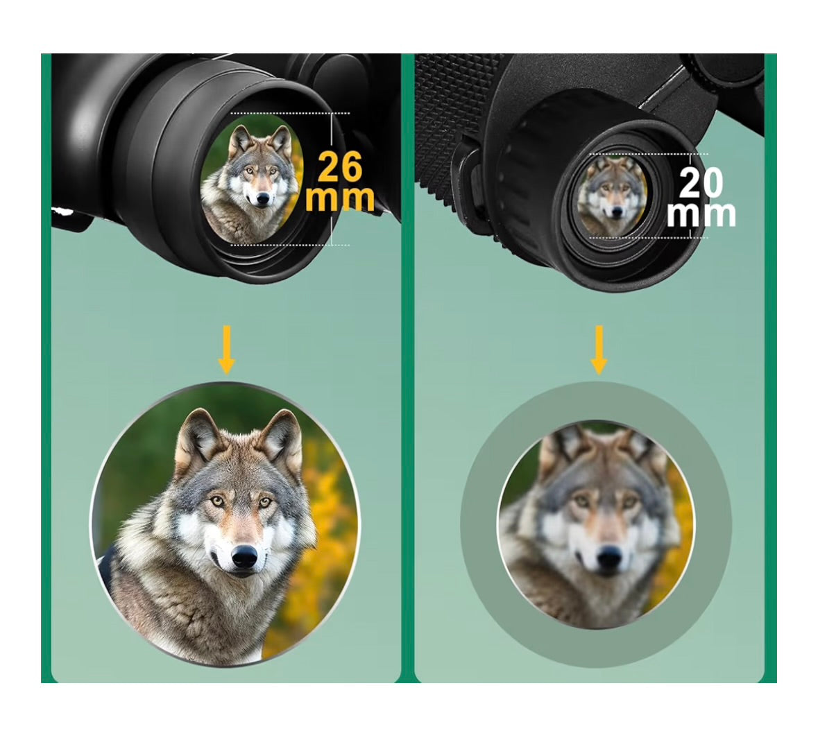 Binoculars for Adults High Powered, Military HD Professional/Daily Waterproof 20x50 Binoculars for Bird Watching Travel Hunting Football Games Stargazing with Carrying Case & Strap